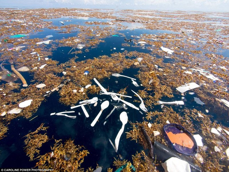 В Карибском море обнаружили "остров" из пластиковых отходов