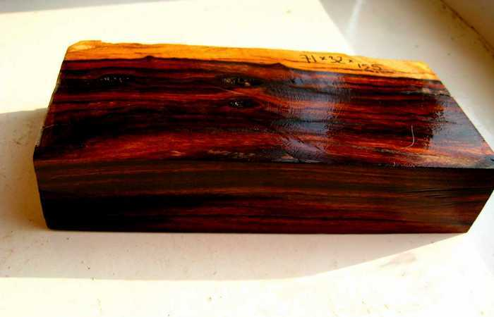 Бакаут: самая тяжёлая древесина на планете, что тонет в воде и незаменима для промышленности