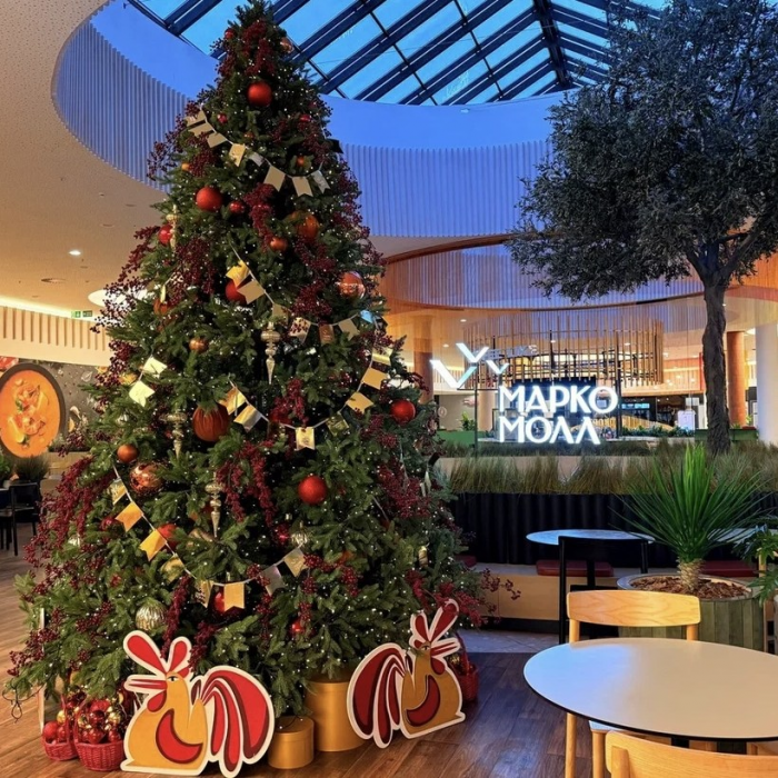 Рязанский ТРЦ «Марко Молл» представил программу новогодних мероприятий декабря
