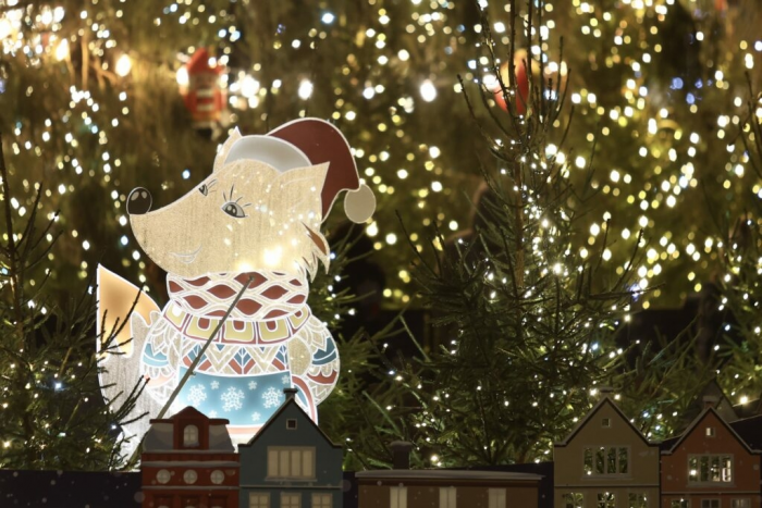 В Петербурге создали больше десятка мест для уникальных новогодних фото