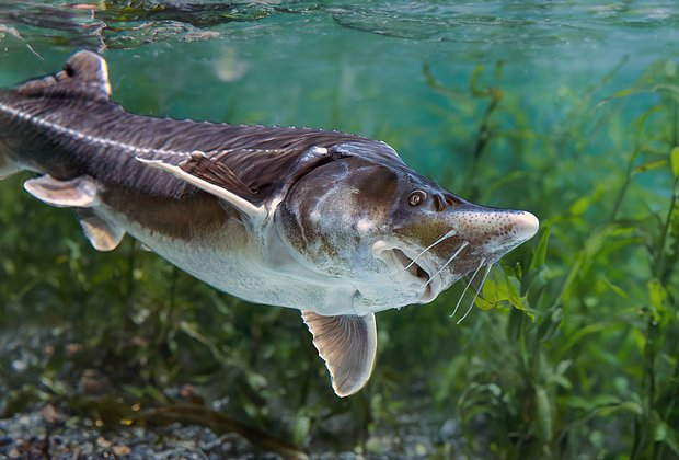 Озеро Байкал: где находится, как добраться, чем заняться зимой и летом