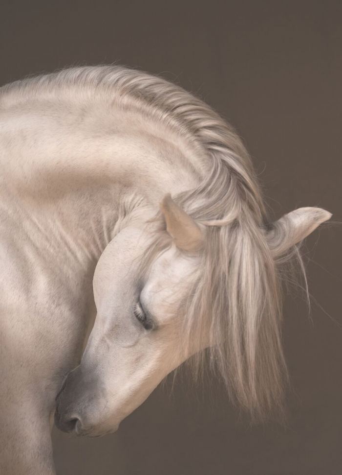 30 лучших фотографий природы с престижного конкурса Tokyo International Foto Awards