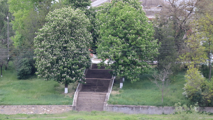 Дойбаны ,ПМР