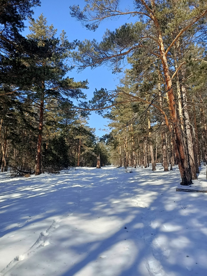Байкал. Февраль 2023. День 6. Один на один (более 30 км пешки)