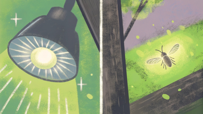 7 изобретений, которые люди подсмотрели у природы