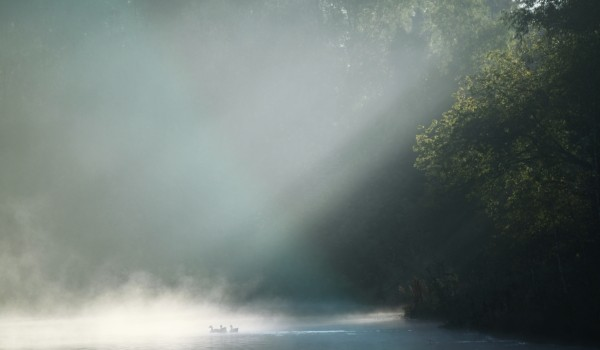 Ученые МГУ изучили экологическое состояние озера Глубокого