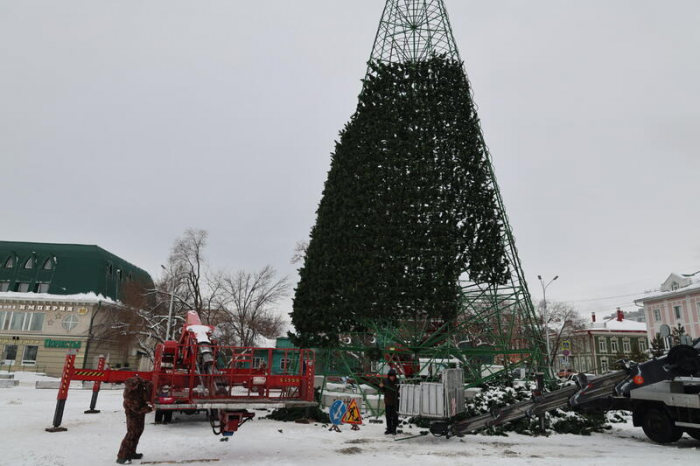 Главная городская елка на площади Свободы в Барнауле обзавелась звездой и "зеленеет". Фото
