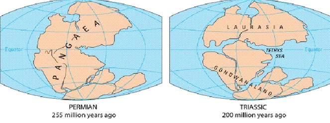 Откуда на вершине Эвереста морские окаменелости? Привет из древности
