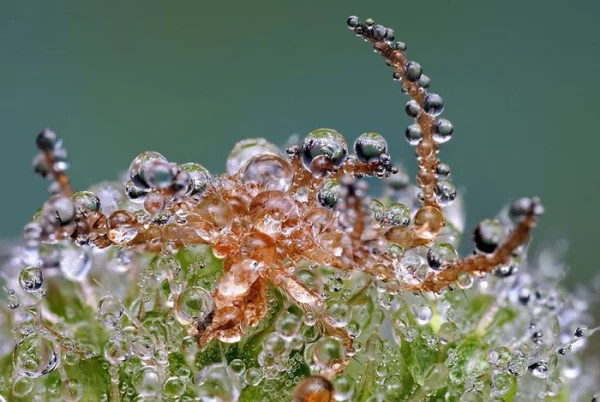 Turogo.ru - Туризм, охота и рыбалка