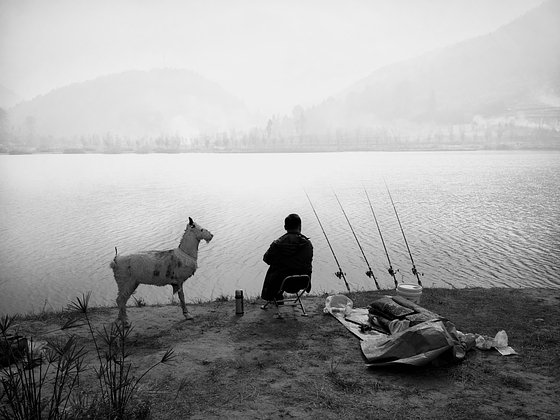 «Простая, но глубокая красота вещей» Какими оказались лучшие фотографии года, сделанные на iPhone?