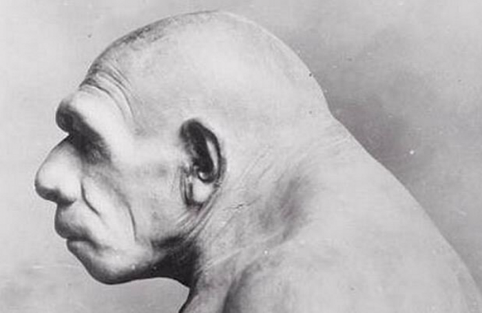 Неандертальцы: самые удивительные факты, перевернувшие представления о нашем прошлом