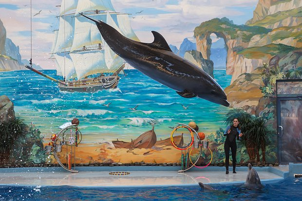 Новый год — 2026 в Сочи: куда сходить, какой отель выбрать, сколько стоит отдых