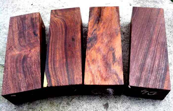 Бакаут: самая тяжёлая древесина на планете, что тонет в воде и незаменима для промышленности