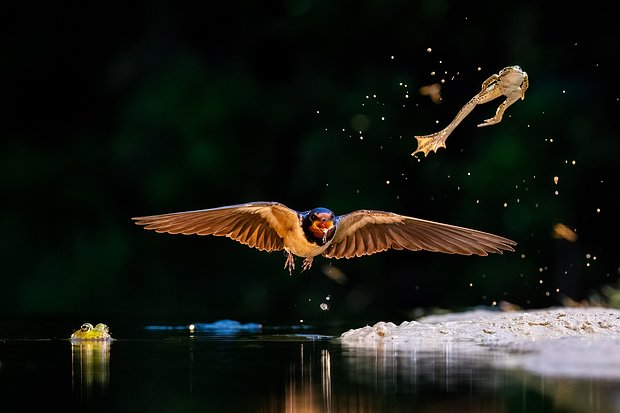 Неземные пейзажи, грибные зомби и нескончаемая борьба за жизнь. Ни на что не похожий мир — на снимках лучших фотографов