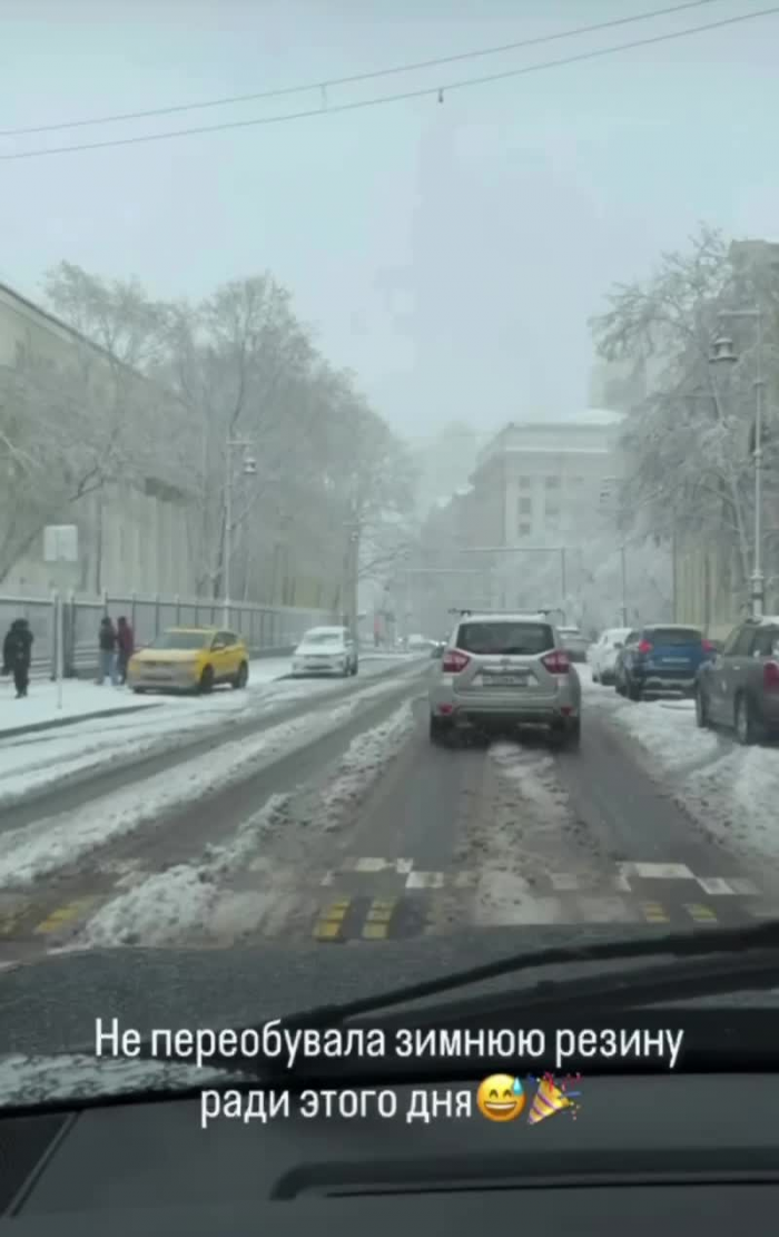 Поваленные деревья, поврежденные машины: Москва оказалась в центре снежного апокалипсиса (много фото)