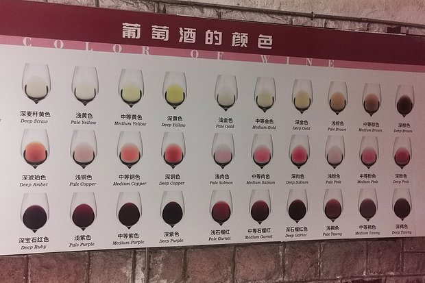 Россияне массово устремились в Китай на Новый год. Там их ждет «пивозаправка», улица роботов и родина Конфуция