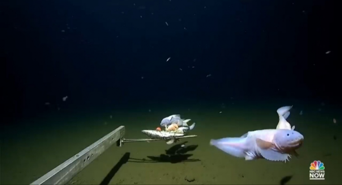 Интересные факты про острова Рюкю, где Япония решила разместить ракеты