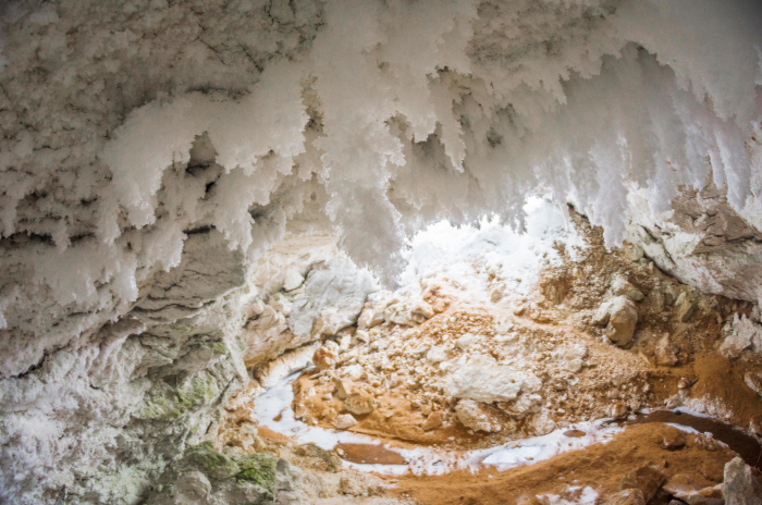 Катания на оленьих упряжках, купание в Кольском заливе и визит к Деду Морозу: интересные направления для зимнего туризма