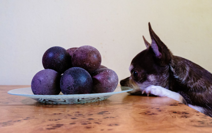 Turogo.ru - Туризм, охота и рыбалка