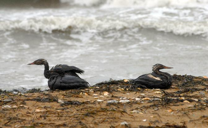 Turogo.ru - Туризм, охота и рыбалка