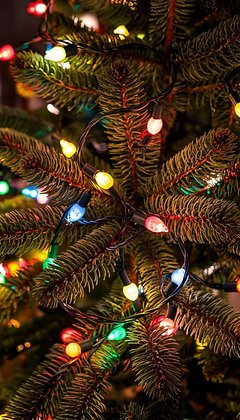 Красивые зимние обои для телефона: 80+ вертикальных картинок на заставку для уютного настроения