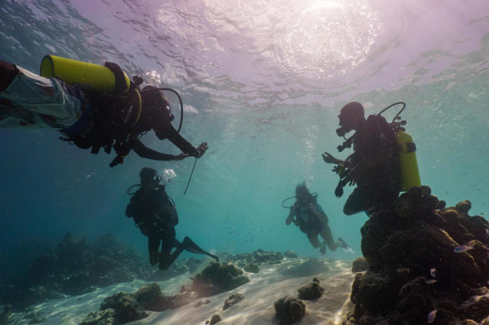 Когда вокруг тихо: зачем люди уезжают отдыхать на Мальдивы