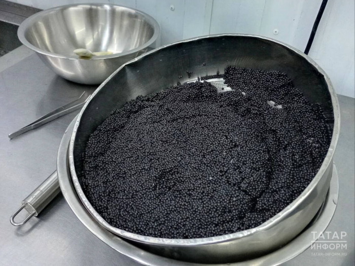 Секреты столицы черной икры: три причины съездить в Астраханскую область