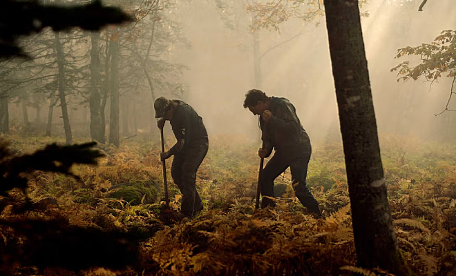 Старатели начали поиск золота на необитаемом острове, а обнаружили сеть тоннелей, которой нет не карте