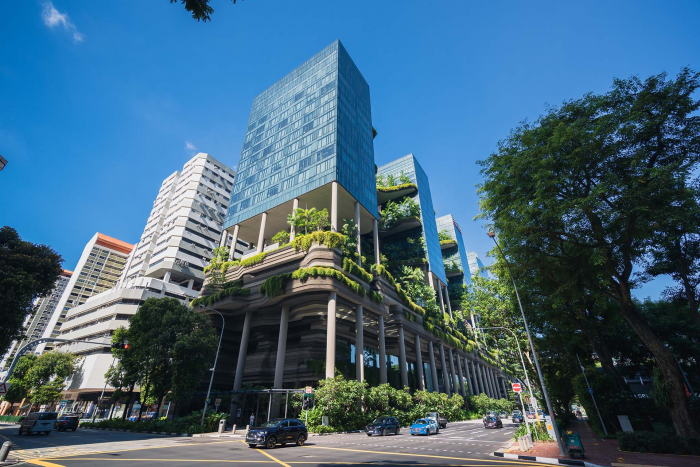 Пространства без публики: как тайные сады пережили века и снова стали актуальны