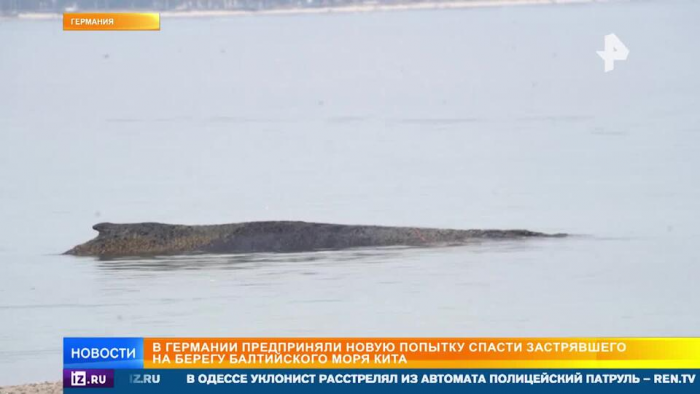 Turogo.ru - Туризм, охота и рыбалка