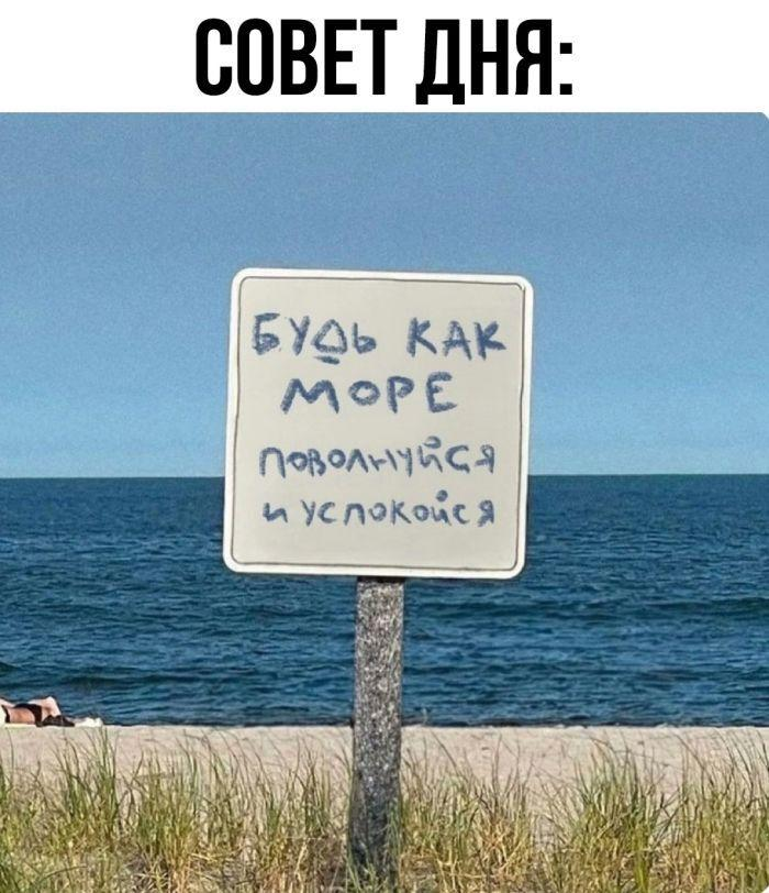 Смешные мемы и картинки о море