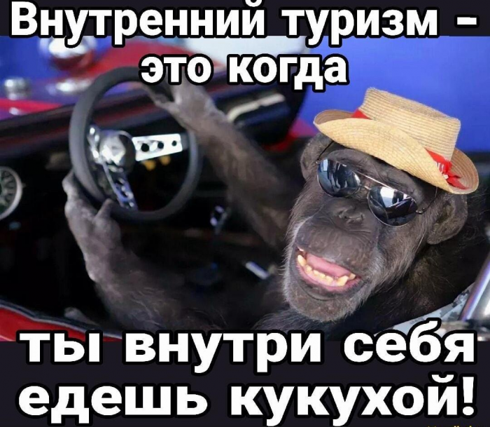 Смешные мемы и картинки о туристах и отдыхающих