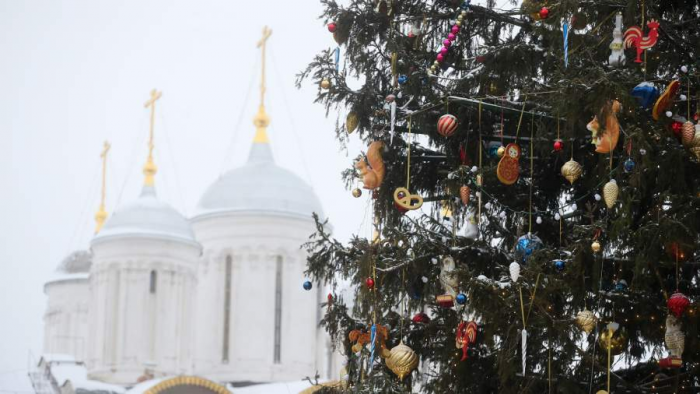 Главную новогоднюю елку Петербурга доставили на Дворцовую площадь