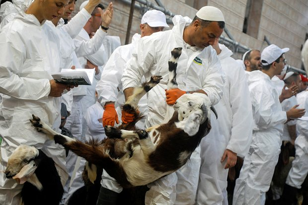 Песах в 2026 году: дата, история и традиции еврейской Пасхи