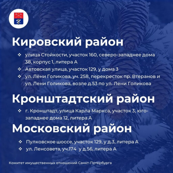Петербуржцам назвали адреса елочных базаров, которые заработают 20 декабря 2025