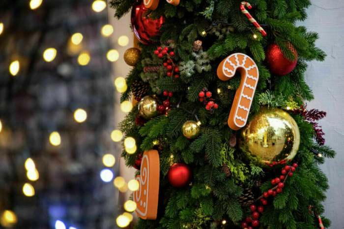 Где и как необычно встретить Новый год в Крыму