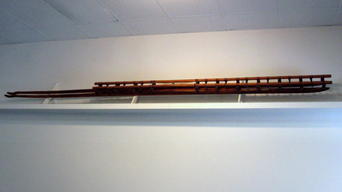 Сквозь снег и песок: удивительная история саней