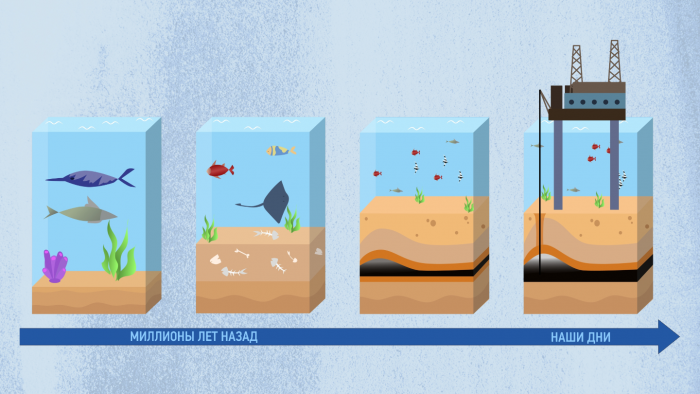 Почему нефть называют черным золотом: 7 интересных фактов