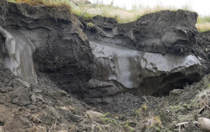 "Древнее зло пробудилось": находка в вечной мерзлоте ужаснула ученых