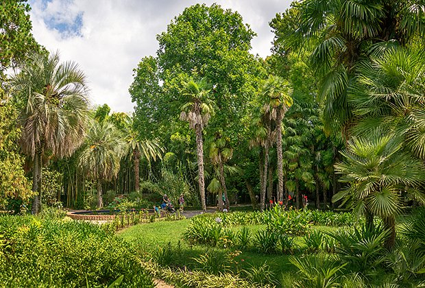 Отдых в Абхазии в 2026 году. Куда поехать и что посмотреть?