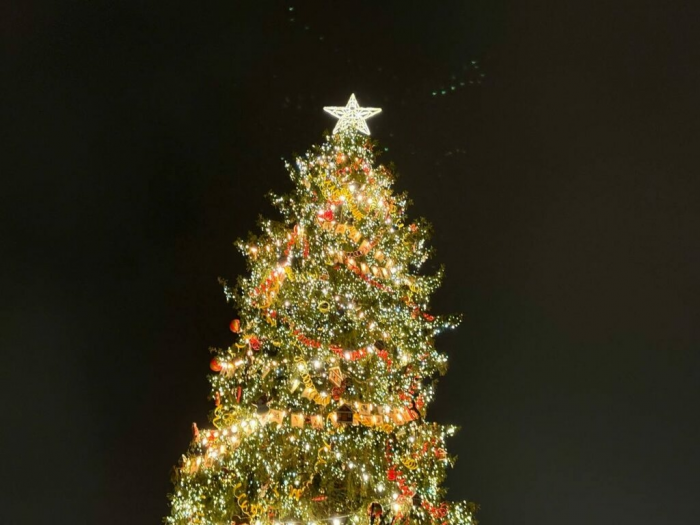 На Дворцовой площади зажгли главную новогоднюю ель Петербурга