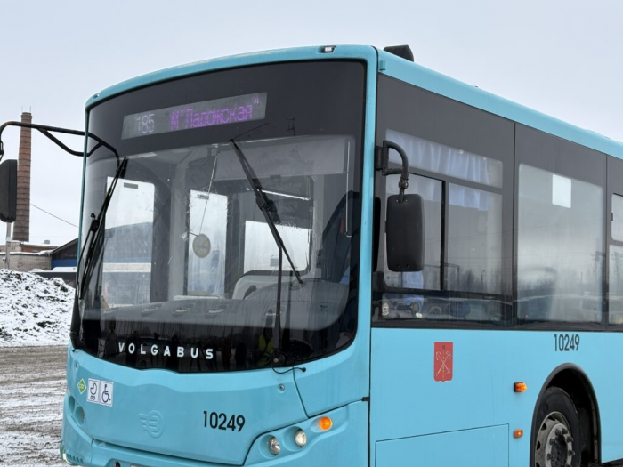 Стало известно, как в Петербурге моют автобусы зимой