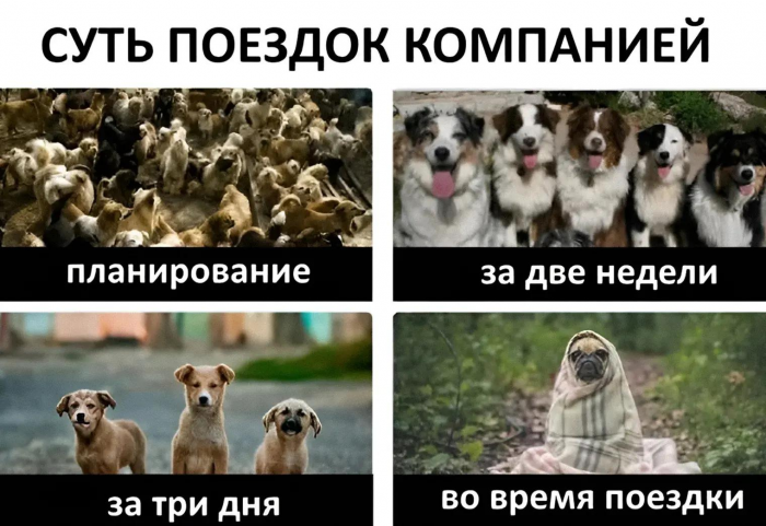 Смешные мемы и картинки о туристах и отдыхающих