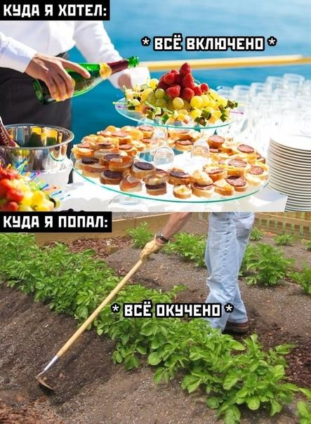 Смешные мемы и картинки о туристах и отдыхающих