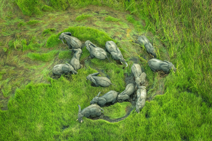 Финалисты профессионального конкурса Sony World Photography Awards 2026