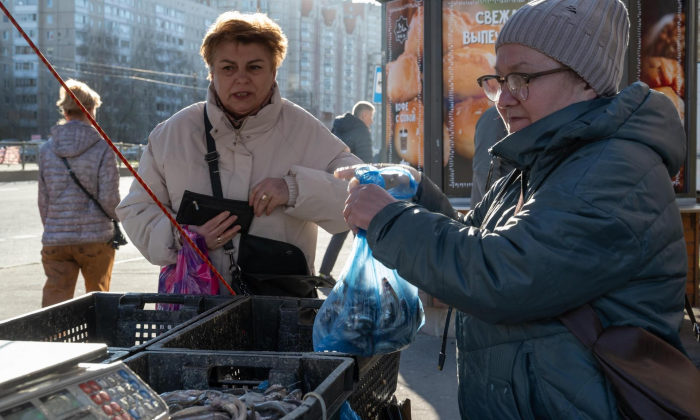 Почему корюшка пахнет огурцом и как это связано с ее качеством, раскрыла эксперт Чаевская