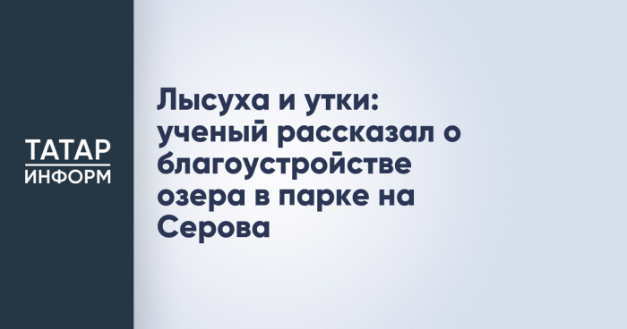 Лысуха и утки: ученый рассказал о благоустройстве озера в парке на Серова