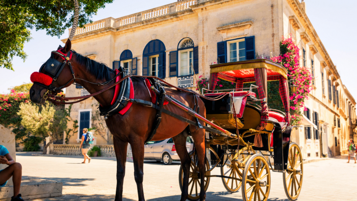 Пешком, на лодке или на осле: 9 мест, где нельзя ездить на машине