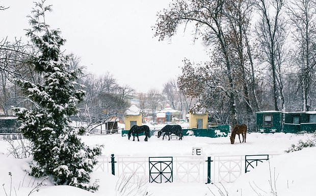 Куда сходить и что посмотреть в Санкт-Петербурге в январе 2026 года: 20+ идей для прогулок одному, с друзьями и семьей