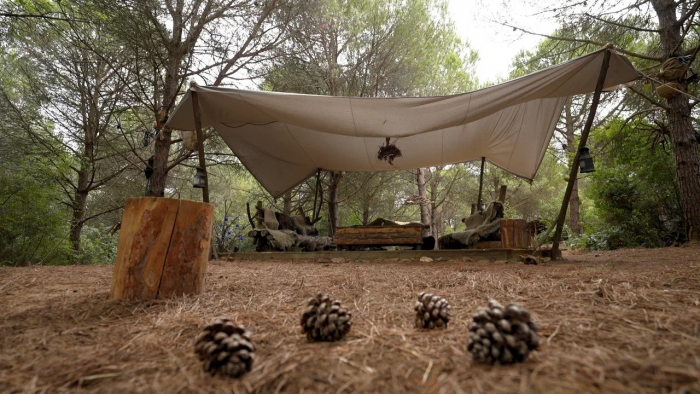 Из Барнаула — в Стамбул. Что жителю края посмотреть в одном из самых красивых городов мира